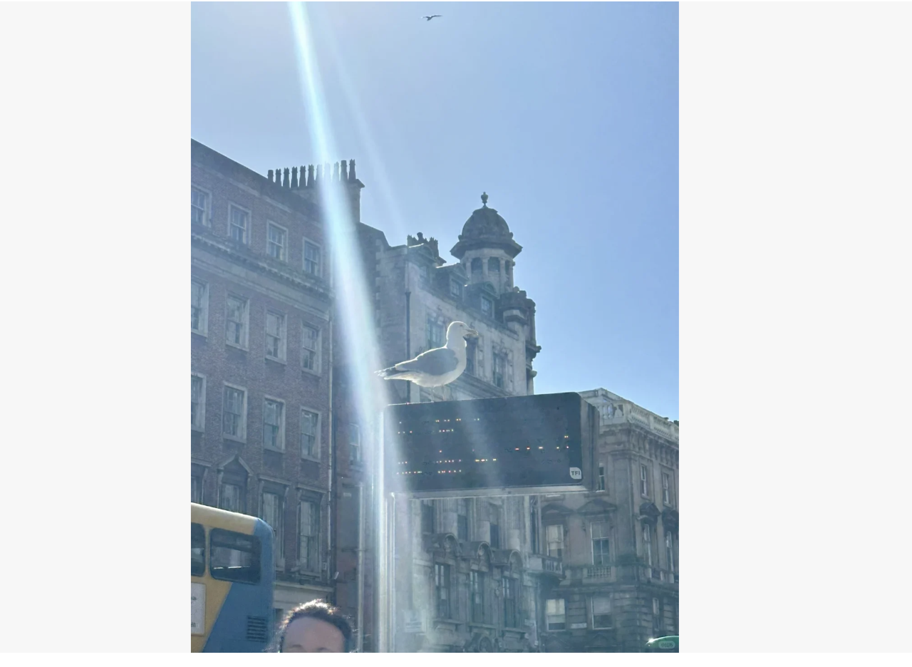 Fintech Job Hunt! My Complete Revolut APM Application Journey