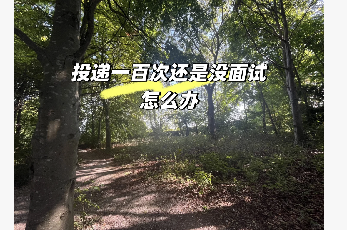 Is finding a job in the UK insanely difficult?