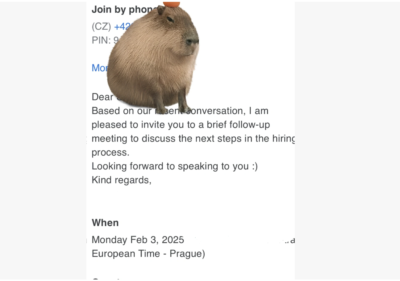 Finally got a pretty satisfying job offer!